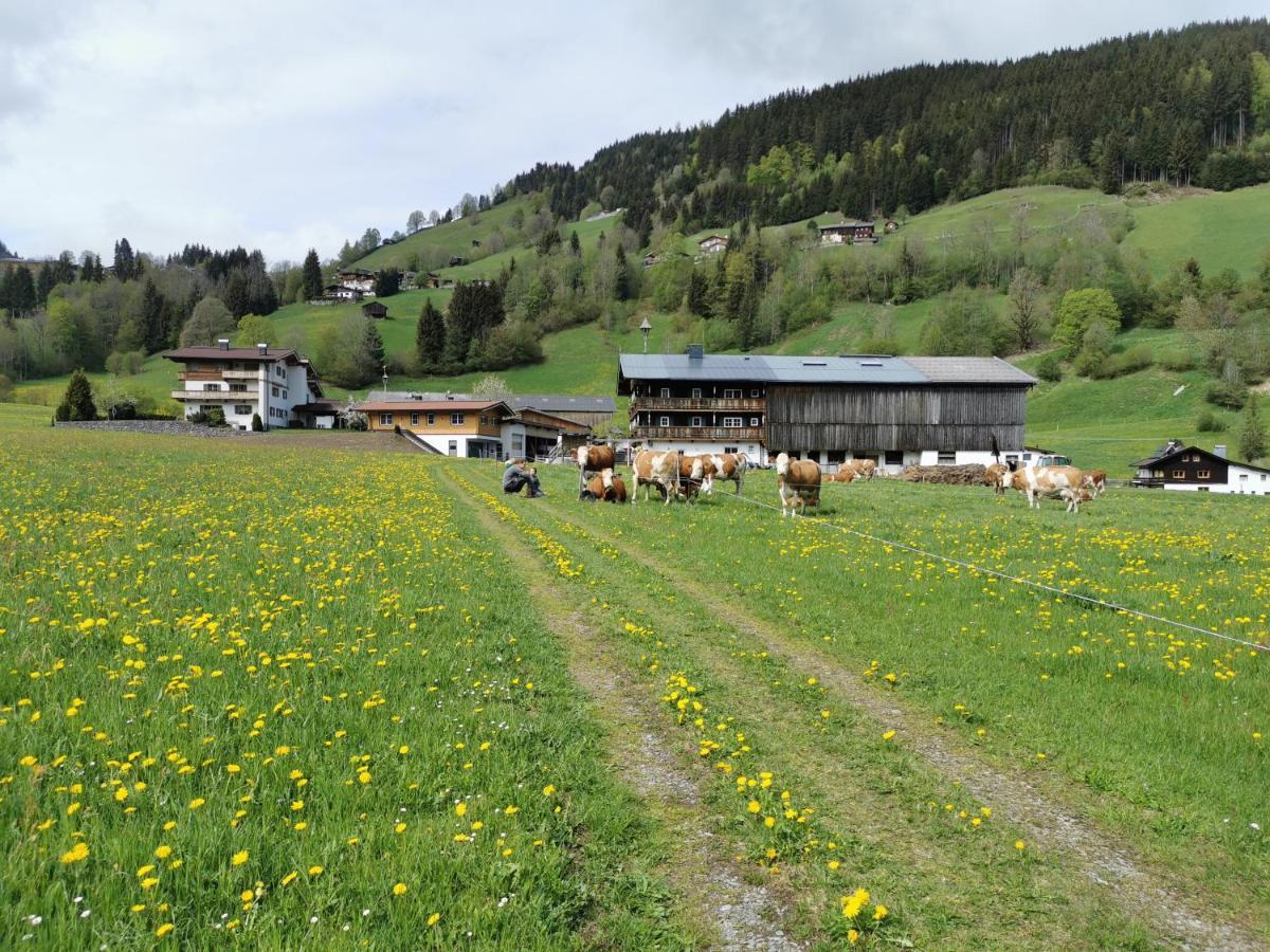 Angererhof Leilighet Jochberg Eksteriør bilde